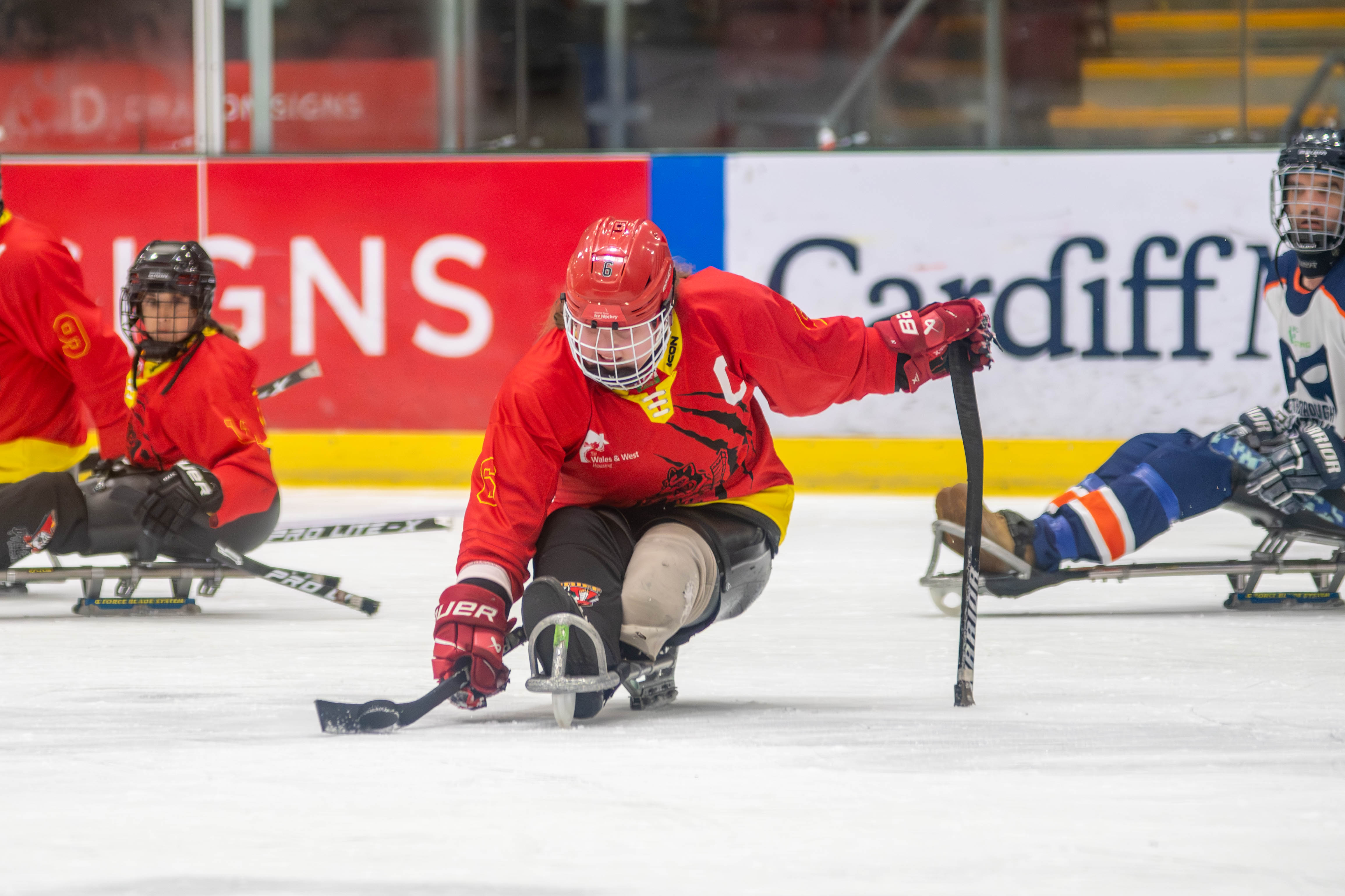 Cardiff Huskies Para Ice Hockey Club