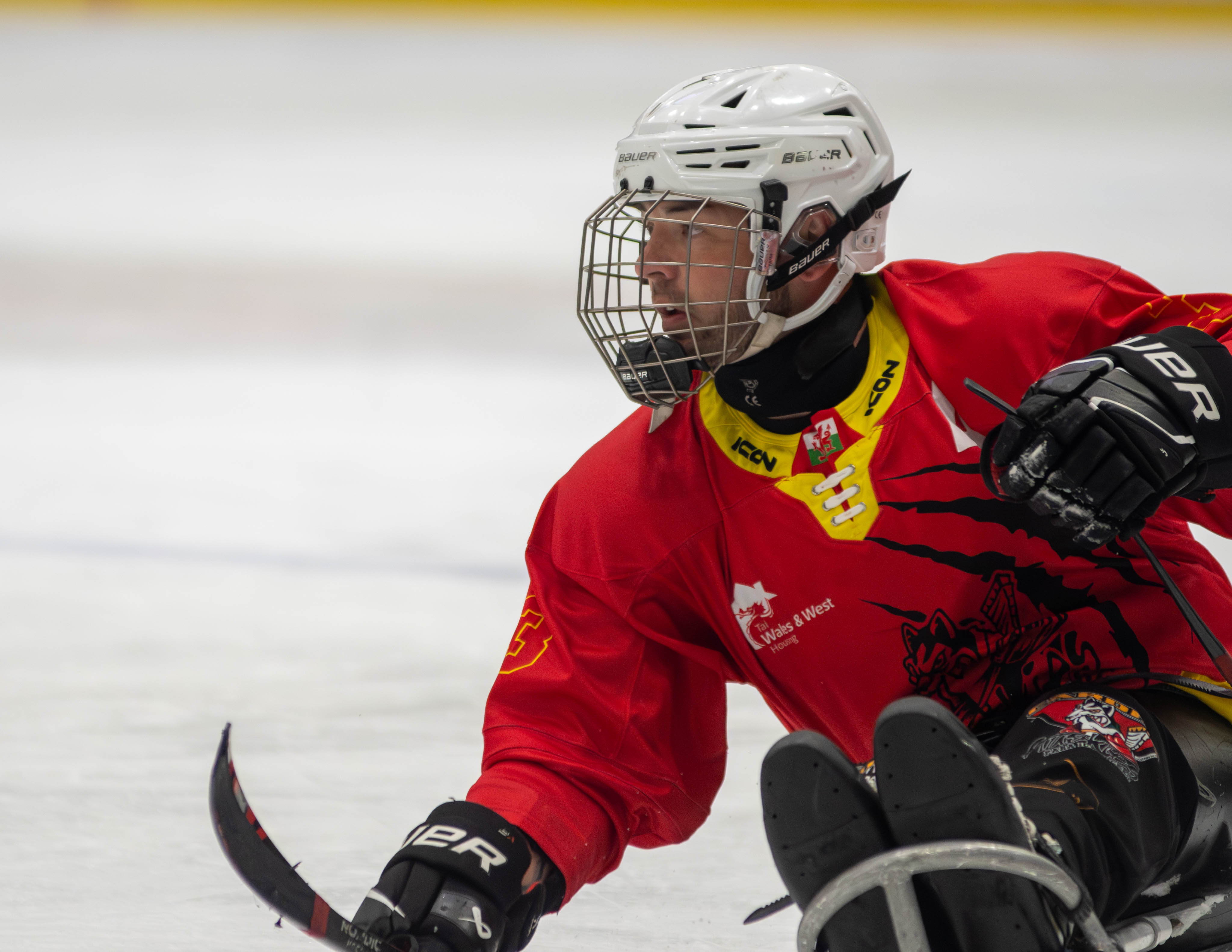 Players skating into the fold